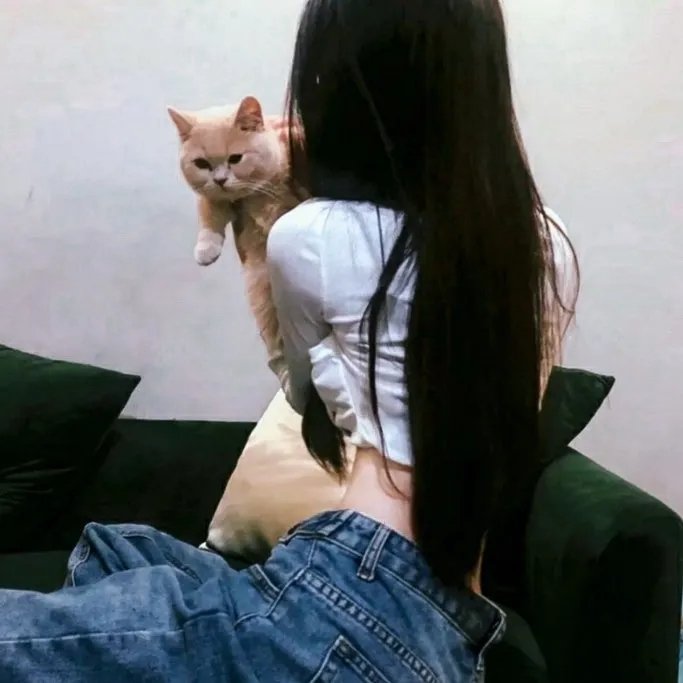 灰姑娘的全新冒险